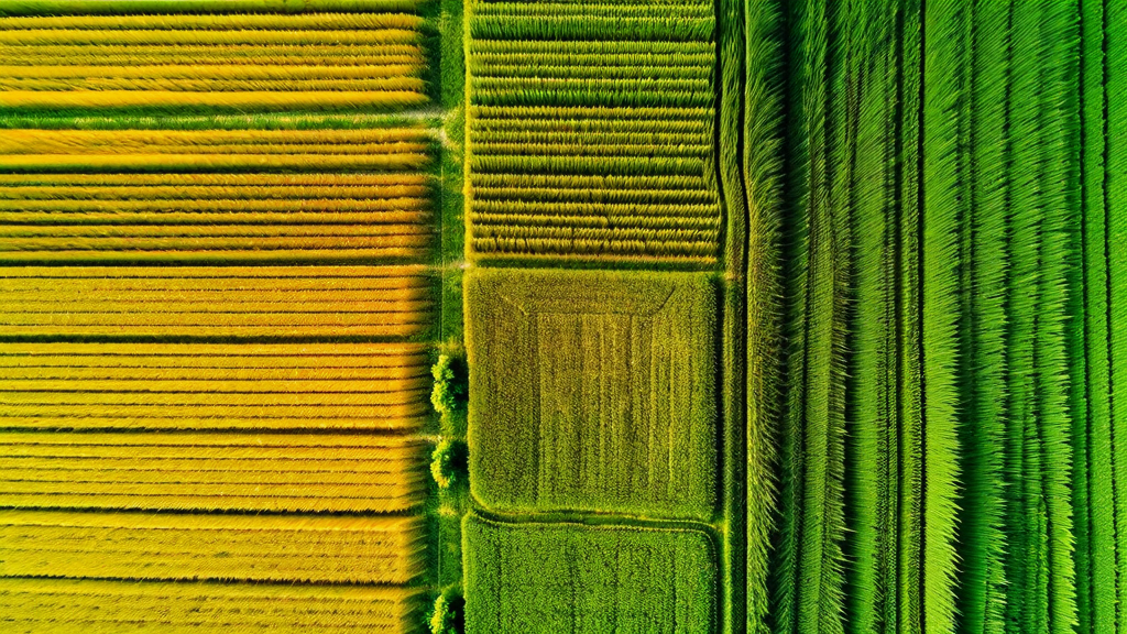 Precision agriculture drone technology