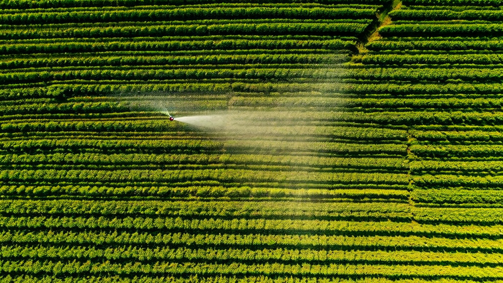 Drone precision agriculture spraying